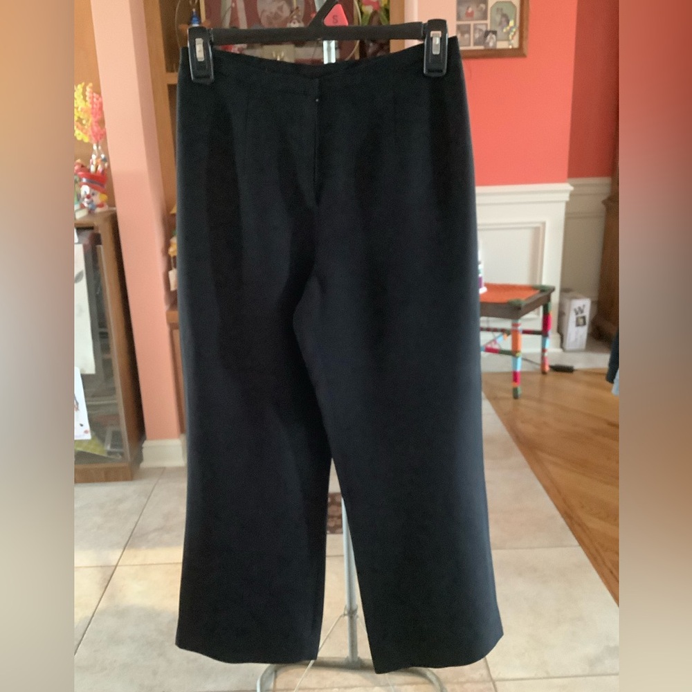 Lined Winter Pants - image 3